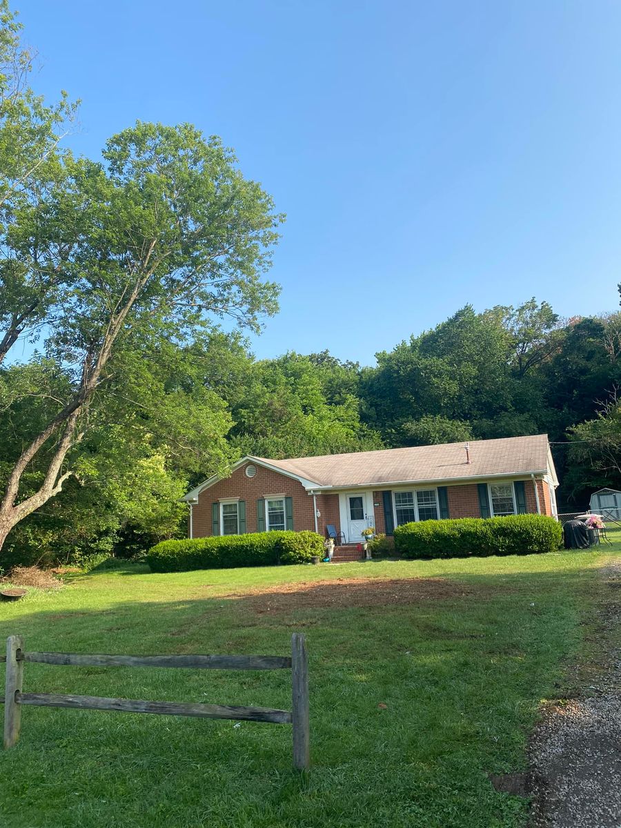 Plant Tree for Diversified Tree Company in Trinity, NC