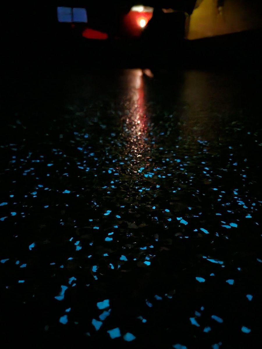 Commercial Epoxy Flooring for Rockstarz Concrete Design in Spearfish, SD