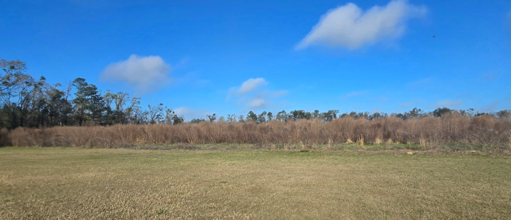 Land Clearing for Giles Land Management, LLC in Hahira, GA