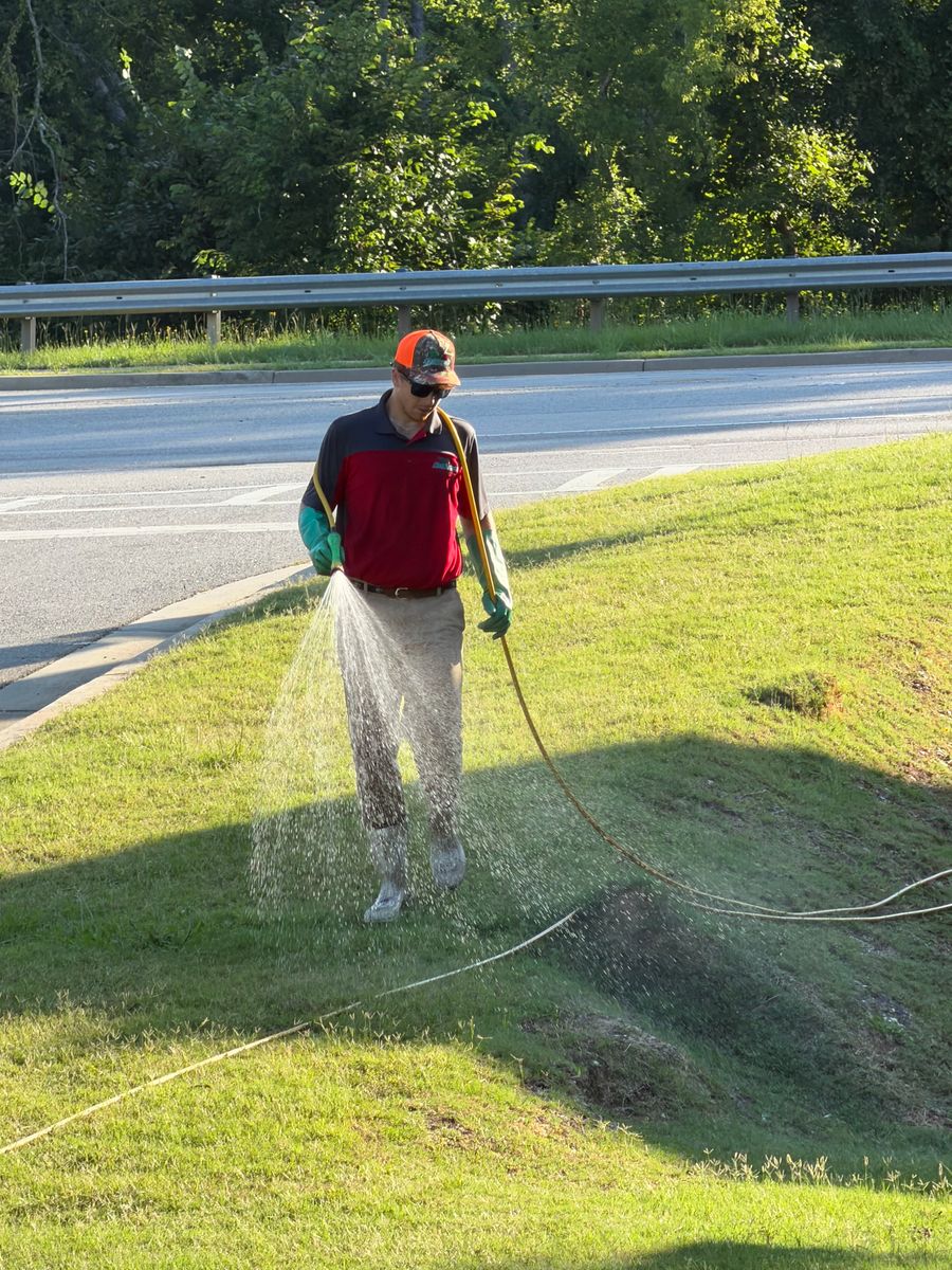 Lawn Care for Kathleen's Lawn & Shrub Care in Augusta, GA