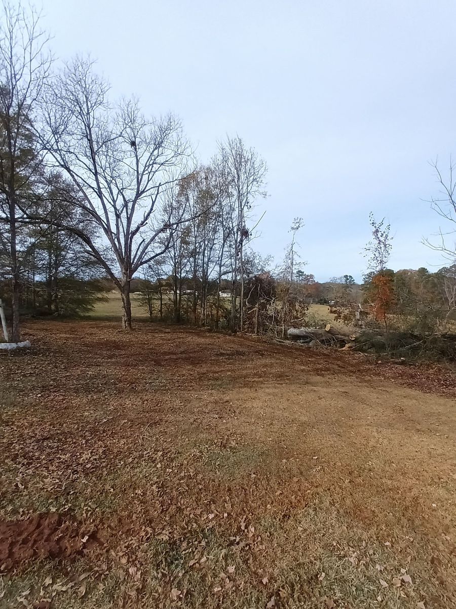 Retaining Wall Construction for Goliath Tree Maintenance and Haul Away in Seneca, SC