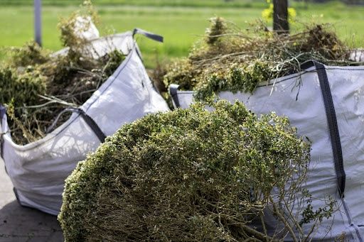 Brush Clearing for Emerald Exterior Property Management in Old Saybrook, CT