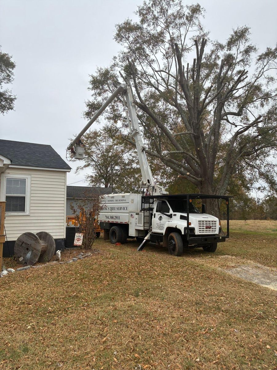 Fall Clean Up for Brooks Tree Service, LLC in Casar, NC