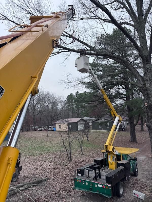 Tree Trimming for Lamb Brothers Clearing in Murray, KY