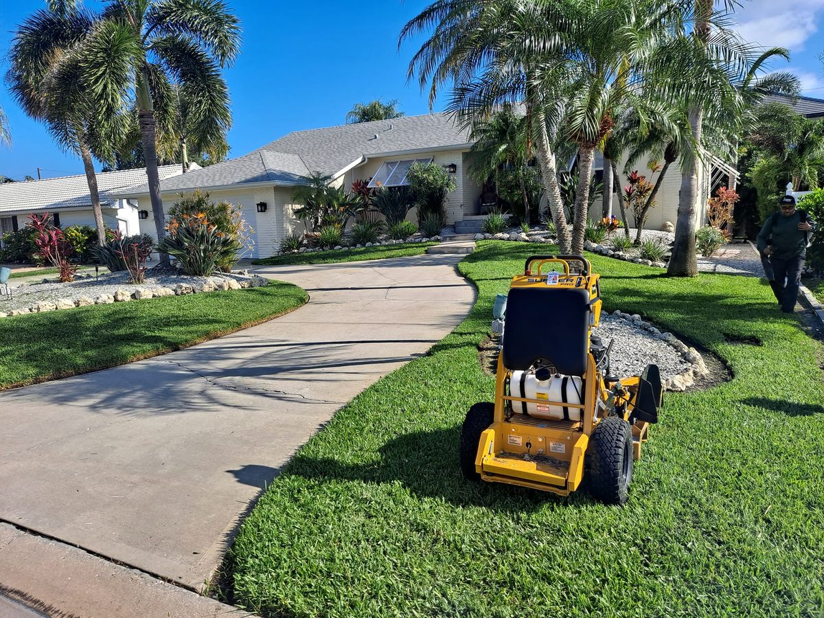 Fall Clean Up for Sanchez Tree Service in Largo, FL