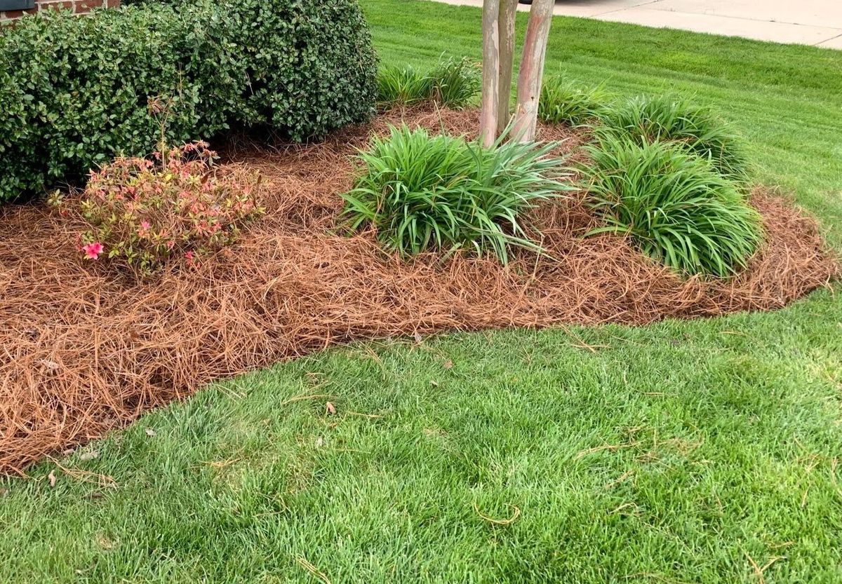 Mulch Installation for Teacher Man Lawn Care in Easley, SC