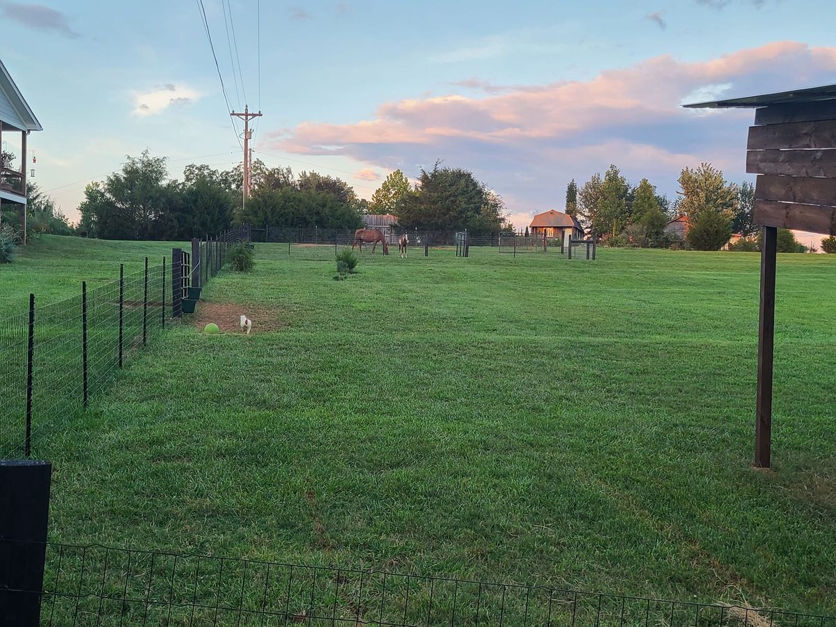 Livestock Fencing for Paradise Landscaping and Tree Service in Greenville, SC