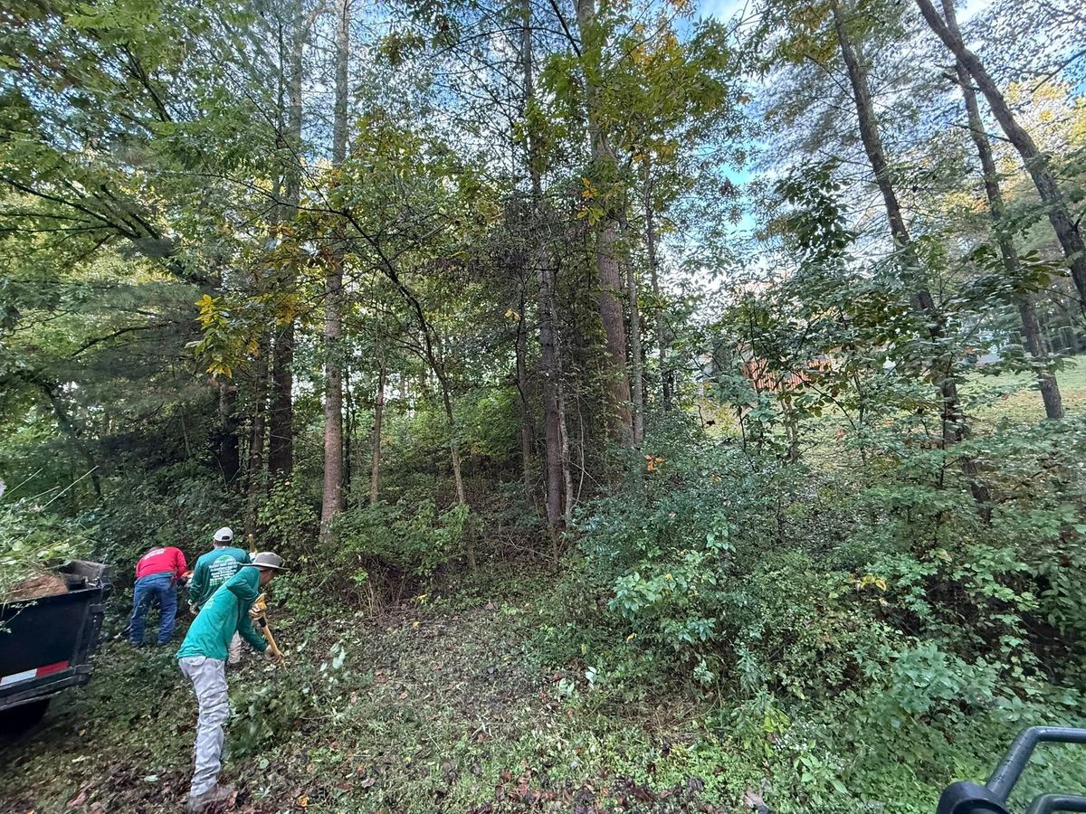 Garden Design & Installation for Torres Tree Service and Landscaping in Hendersonville, NC