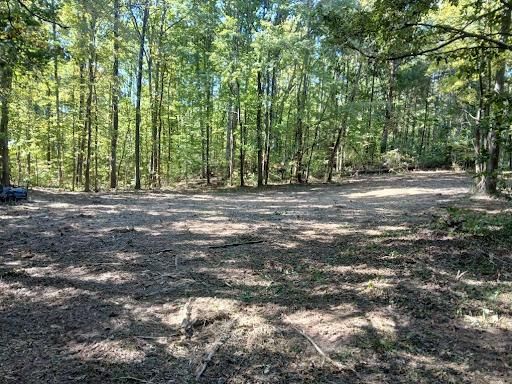 Land Clearing for Whiskey Ridge Mulching & Land Services in South Boston, VA