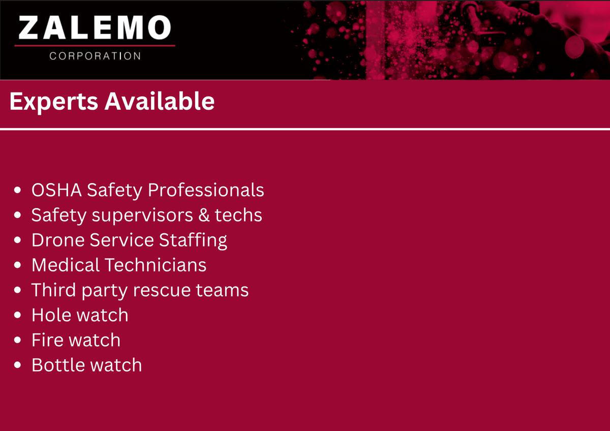 Safety Staffing for ZALEMO in Houston, TX