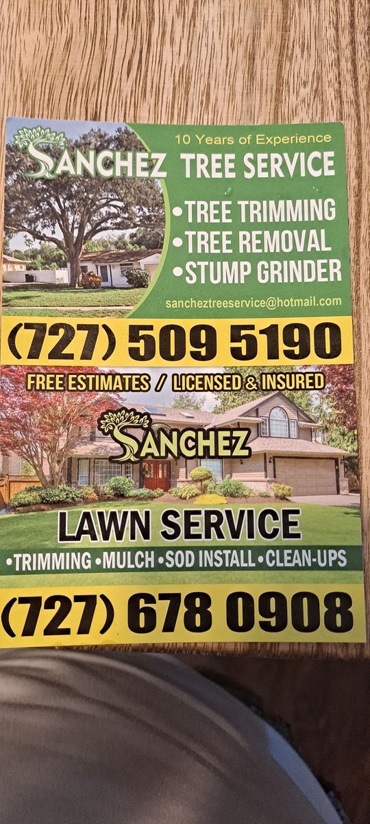 Fall Clean Up for Sanchez Tree Service in Largo, FL