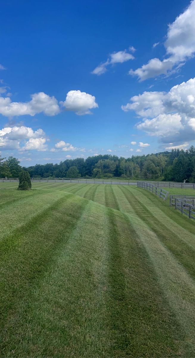 Sod Layouts for Puleo Landscape LLC in Chittenango , NY