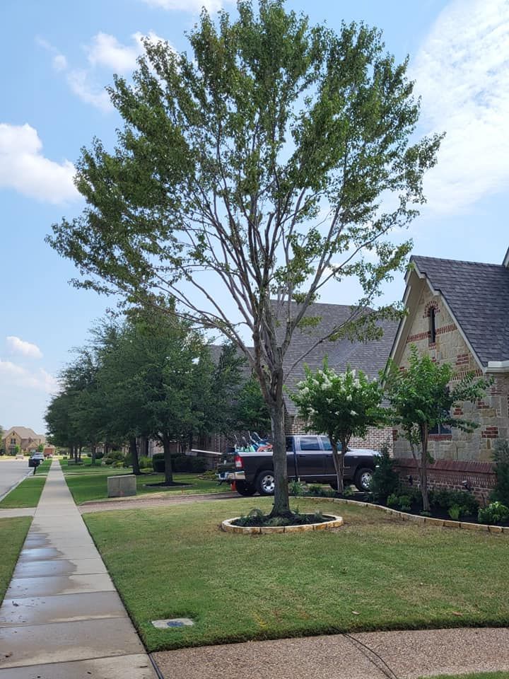 Rock Edging Design for Bryan's Landscaping in Arlington, TX