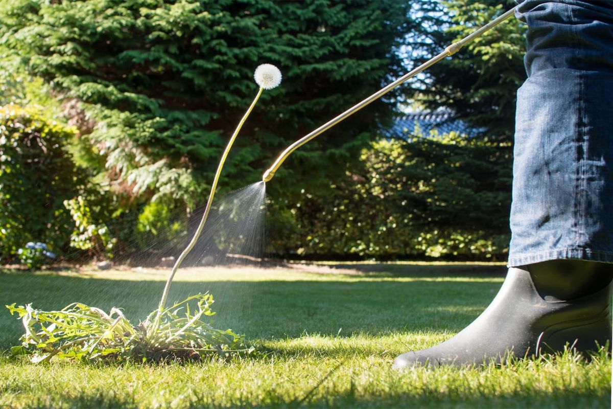 Lawn Treatments for Soto Green Co. in Milford, PA