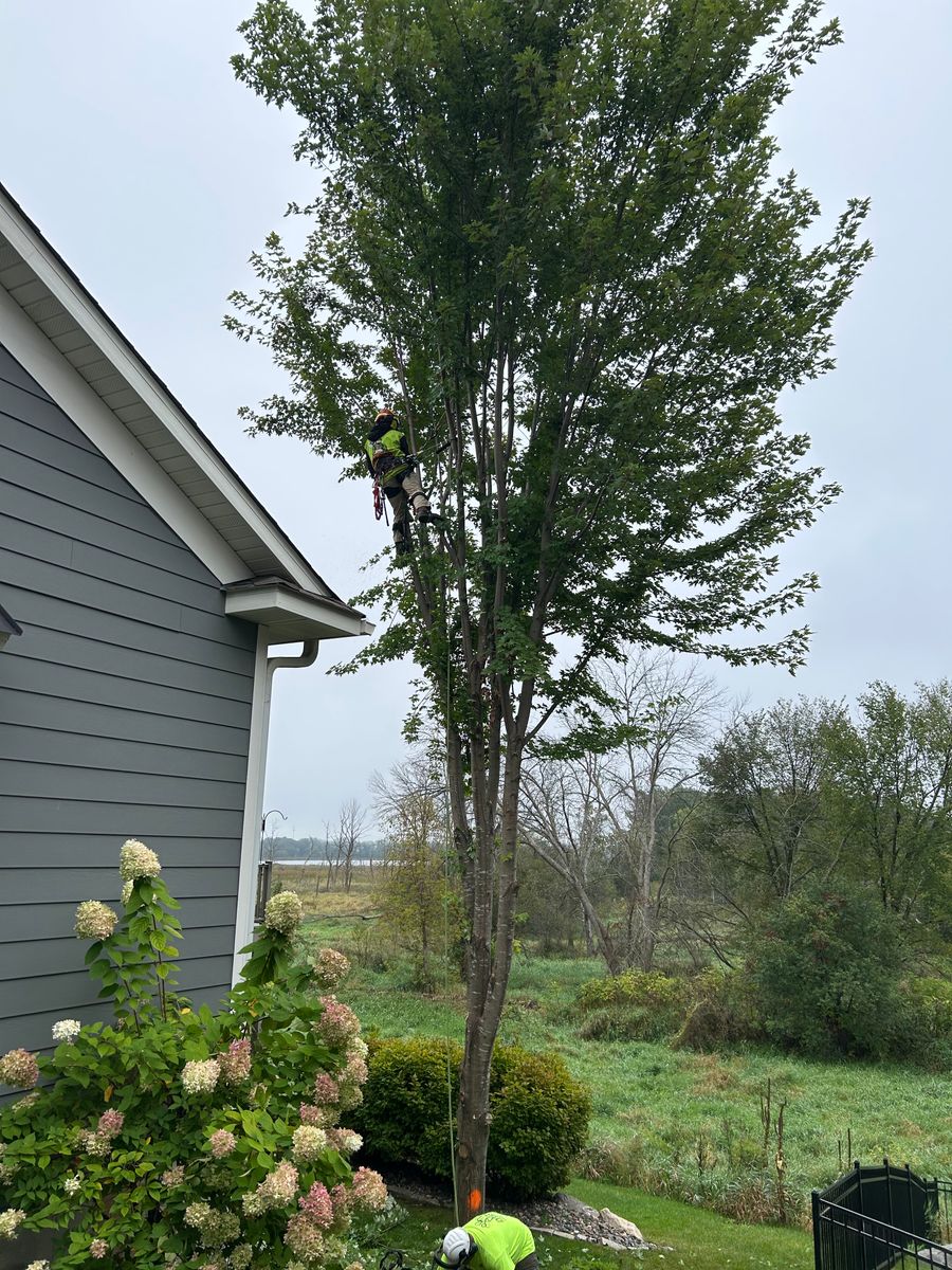 24-Hour Emergency Services for Allstate Tree Service and Crane in Minneapolis, MN