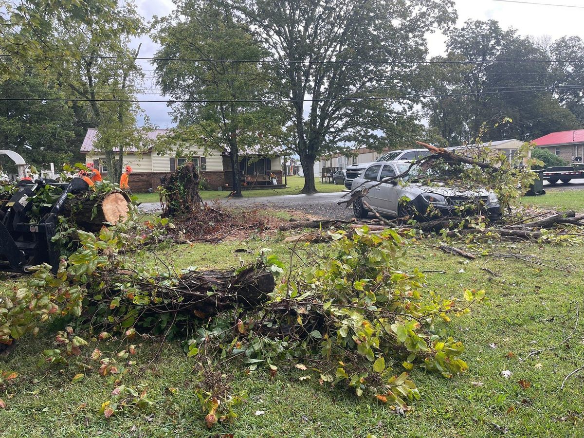 Tree Trimming for Ross Family Tree Service LLC  in Hohenwald, TN
