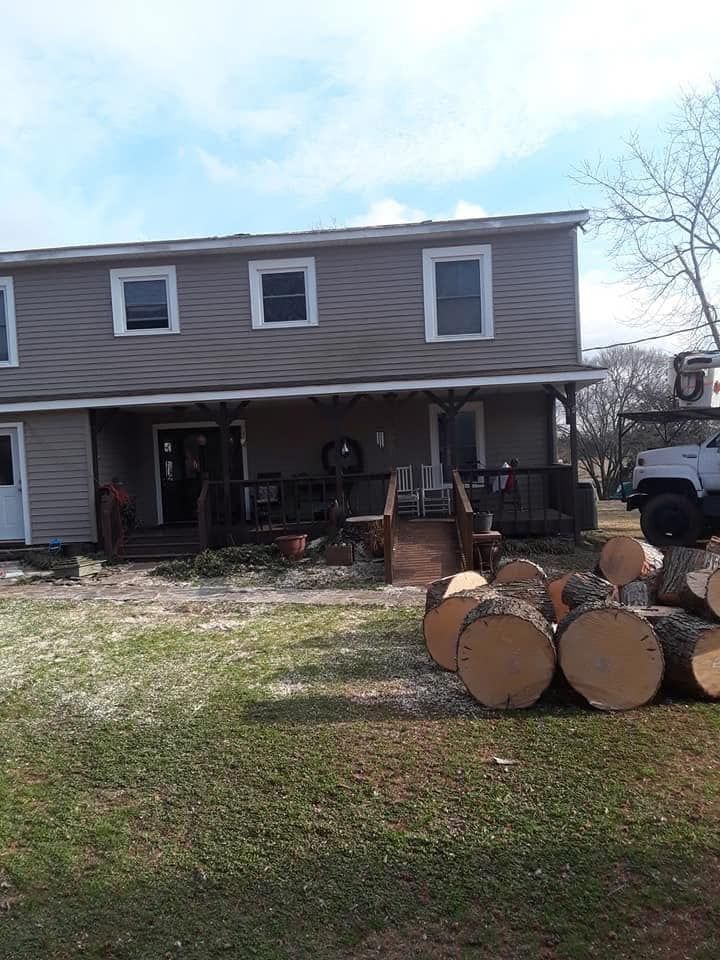 Tree Removal for Brooks Tree Service in Casar, NC