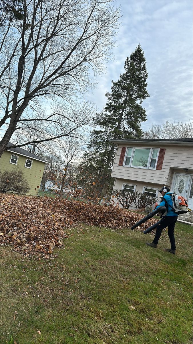 Leaf Removal  for Michaels Сonstruction in New York,  NY