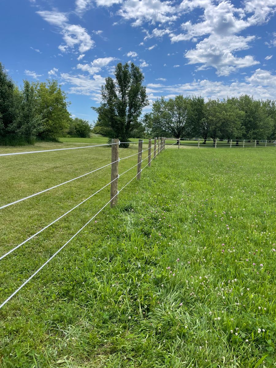 Fence Installation for TMF Services in Lapeer County, MI