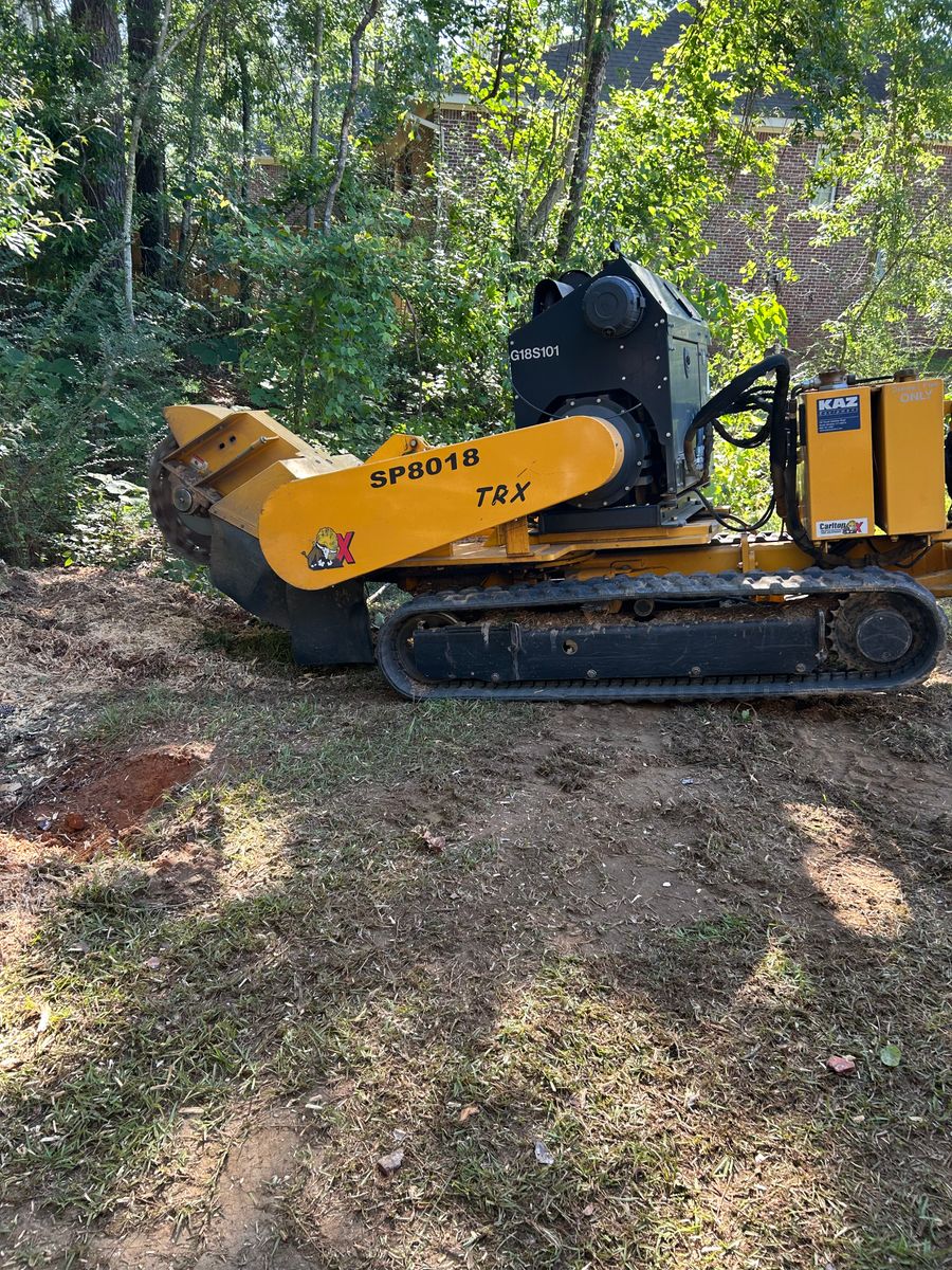 Tree Services for Broadway & McMullen Construction in Hattiesburg, MS