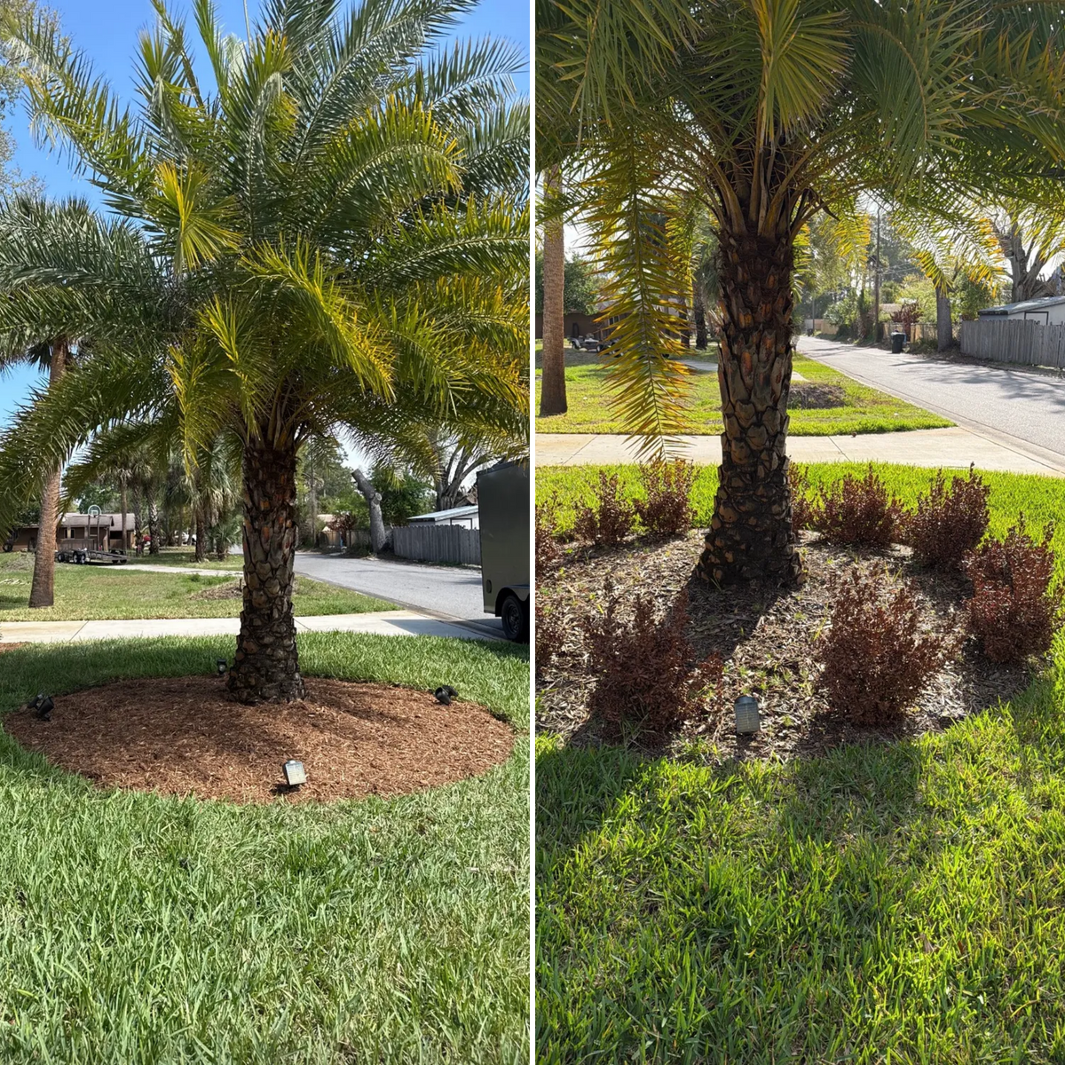 Landscaping Installations for C4 Ground Control in Oviedo, FL