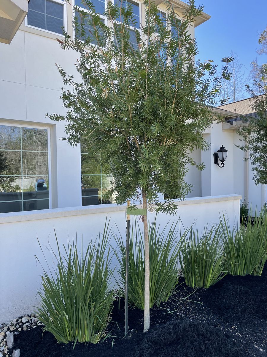 Landscape Installation for Atlas Land Design in Creekside Park, TX