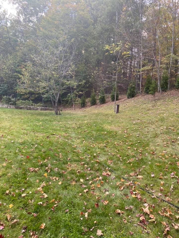 Fall Clean Up for Zaldivar’s Lawn Care INC  in Peekskill, NY