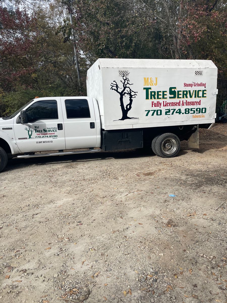 Tree Removal for M & J Tree Service & Stump Grinding in Auburn, GA