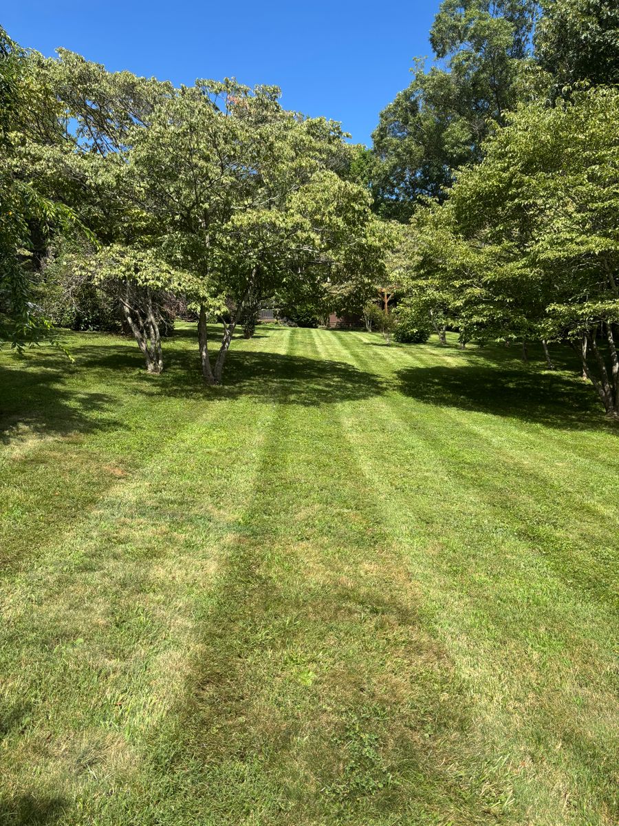 Lawn Maintenance for Pisgah Property Services LLC in Asheville, NC