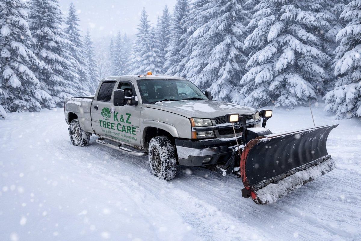 Snow Removal  for K and Z Tree Care in Isanti County, MN