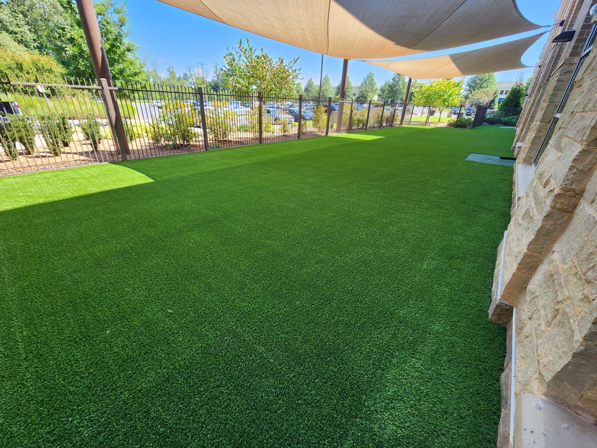 Artificial Turf For Pets for Elite Turfs in Concord, NC