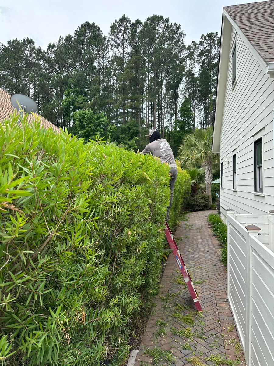 Full Maintenance for George’s Hardscape  in Bluffton, SC