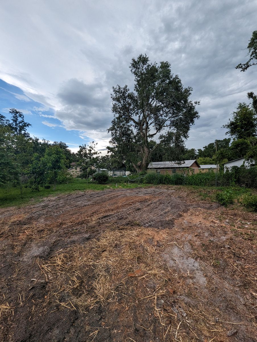 Land Clearing for Regal Tree Service and Stump Grinding in Wauchula, FL