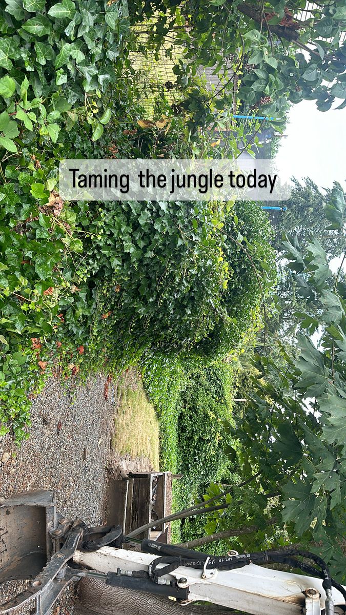 Landscape Maintenance for SAW Enterprises  in Arlington, WA