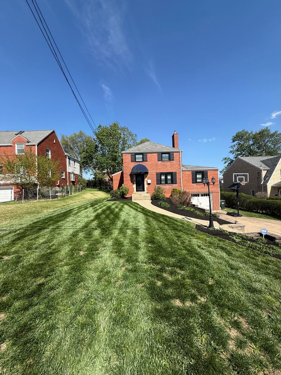 Yard Renovations for Wilder Landscaping Services in South Park, PA