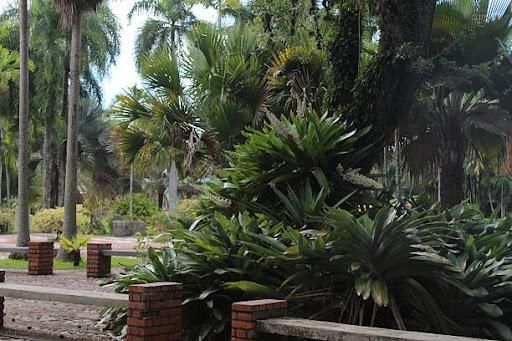 Landscape Design & Installation for Full Armor Landscapes in League City, TX