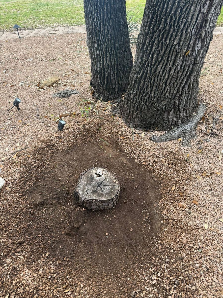 Tree Stump Grinding for Oakley’s Stump ‘N Grind in Leander, TX