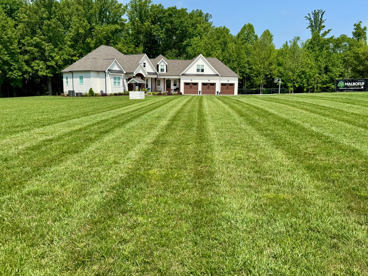 Sod Installation for Malboeuf Landscaping, Inc in Kernersville, NC