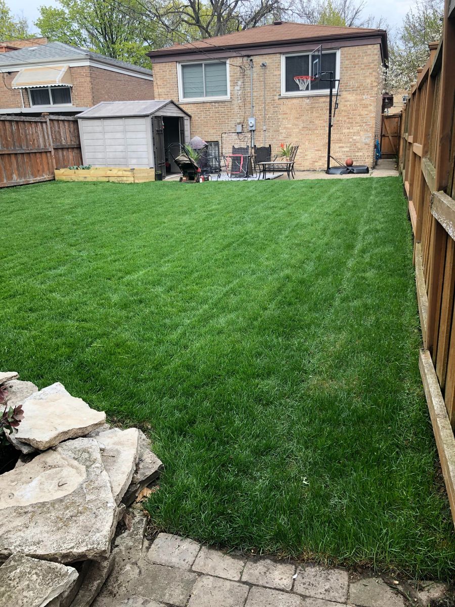 Sod Install for Copeland Services in New Port Richey, FL
