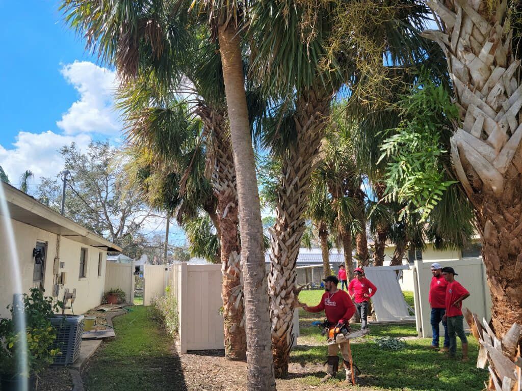 Emergency Tree Service for Bulldawg Disaster Response in Atlanta, GA