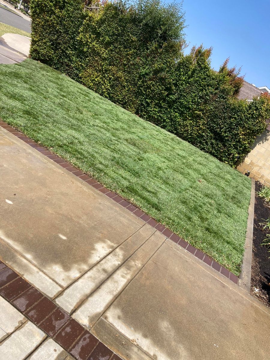 Lawn Maintenance for Green Planet Services in La Habra Heights, CA