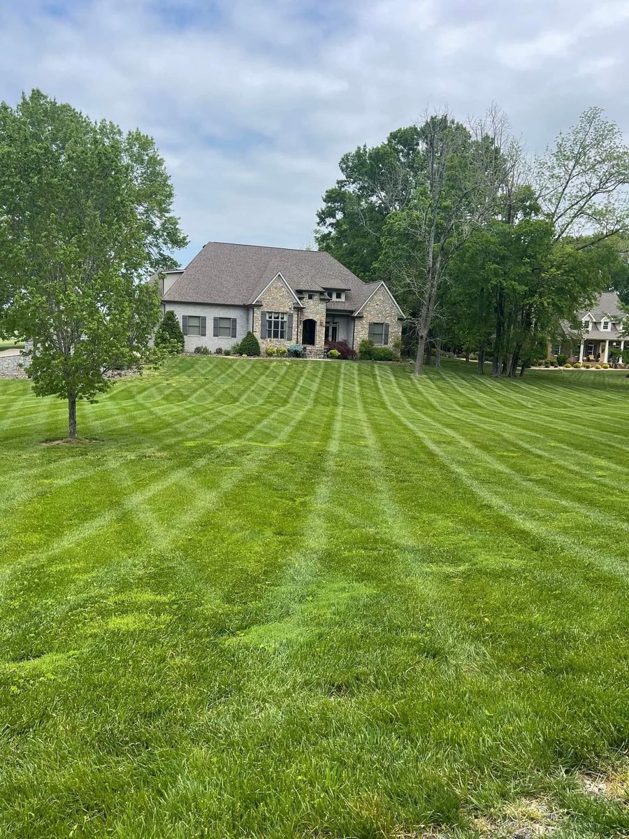 Fertilization for Adams Lawn Service & Landscaping, Inc. in Shelbyville, TN