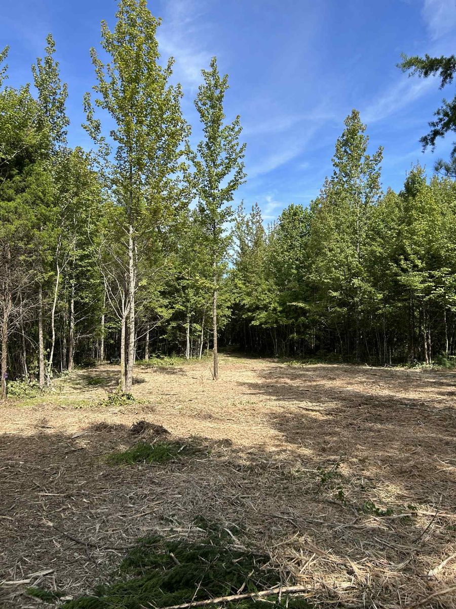 Excavation and repair services for Z's Land Management & Forestry Mulching in Smithville, TN