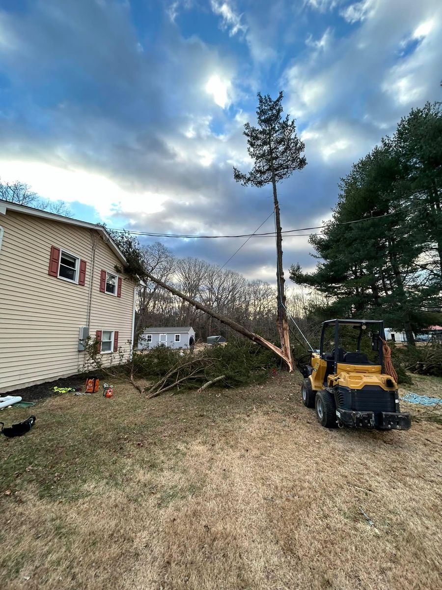 Emergency Services for Hingewood Tree Service in Salem, NJ