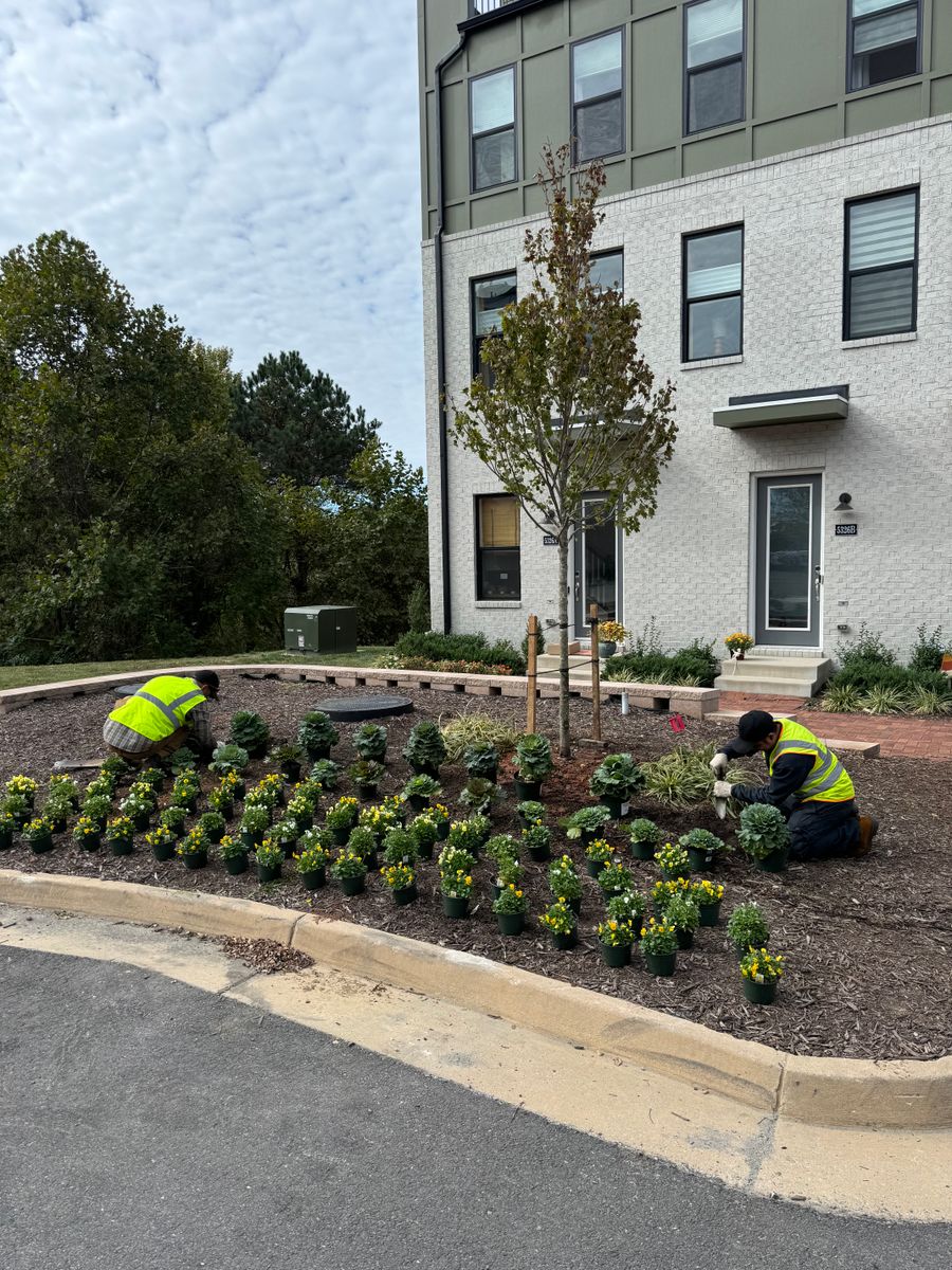 Tree and Shrub Planting for Branch Out Tree Care LLC in Fredericksburg, VA