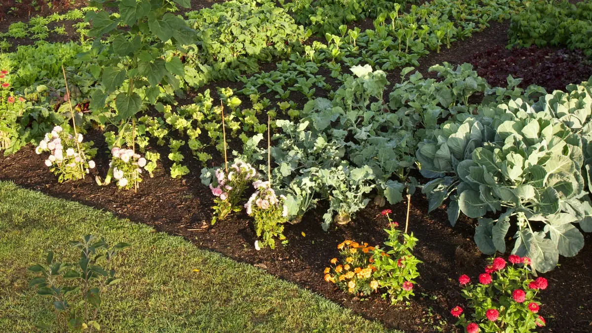 Flower Beds for Will's Wells in Cambridge, MA