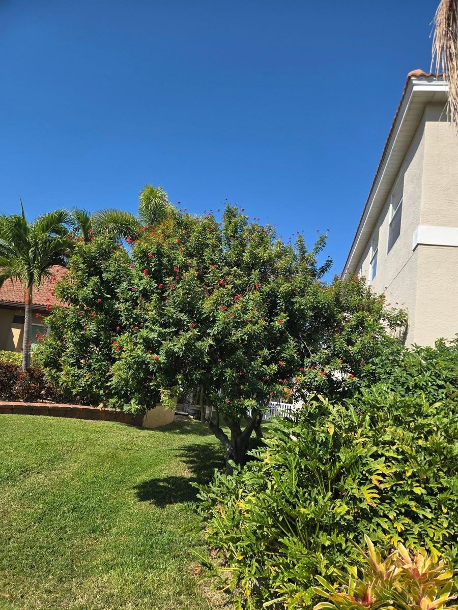 Tree Planting & Landscape Services for TREE BOYS in Ruskin, FL