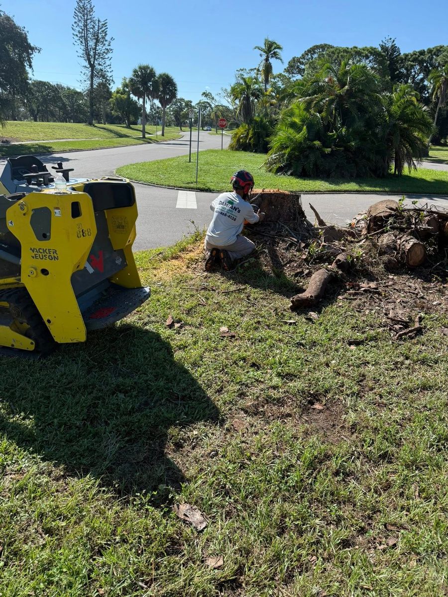 Stump Removal for Damian’s Tree Care in Sarasota, FL