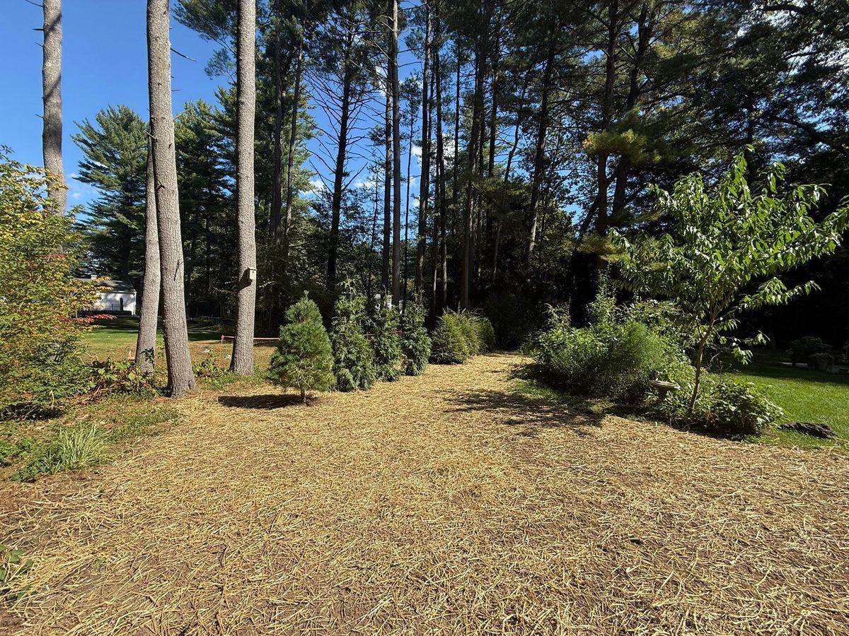 Land Clearing & Yard Expansion for Lennon Land Management in Suffield, CT