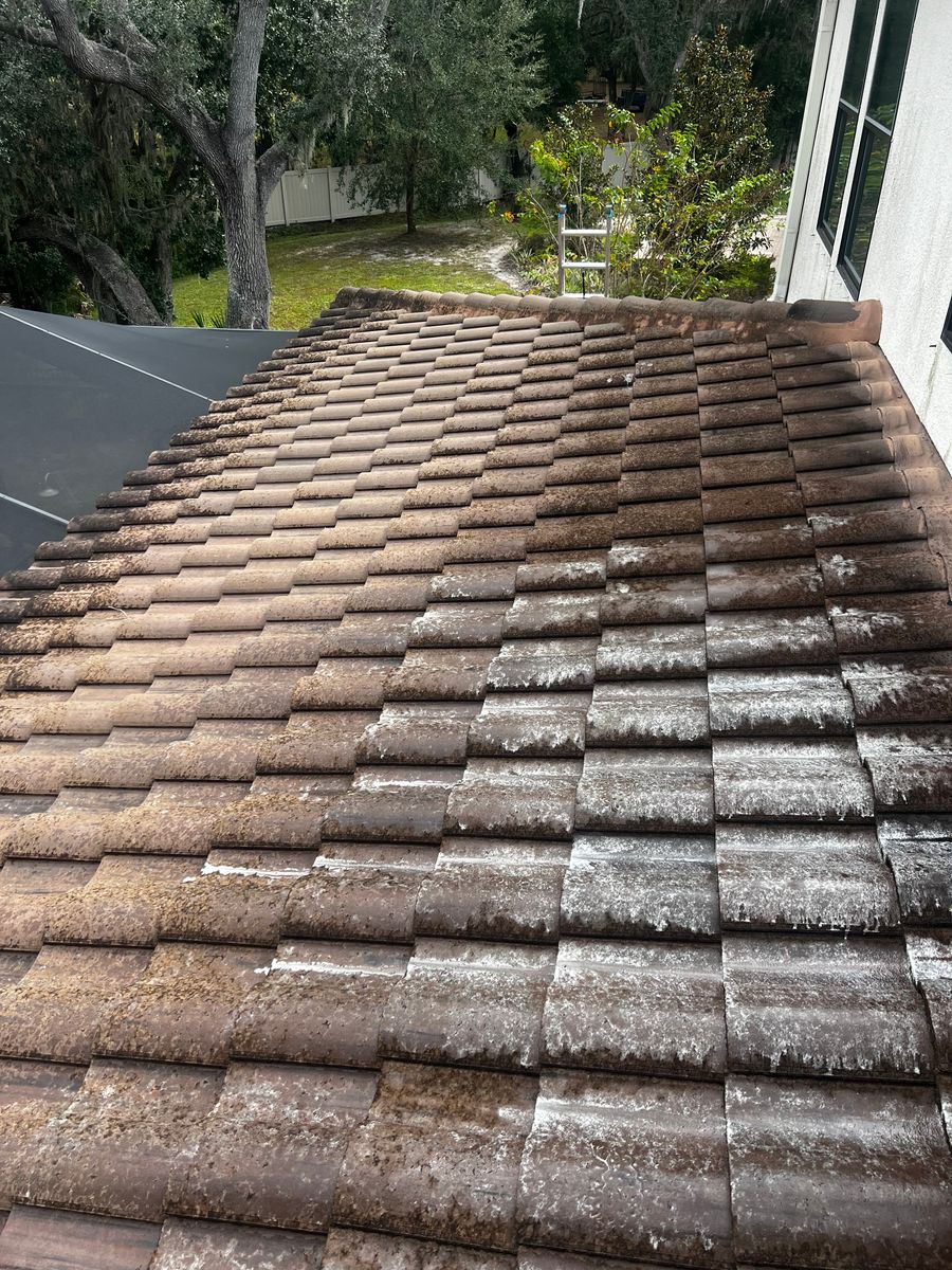 Roof Cleaning for Barr None Wash Pro in Tampa, FL